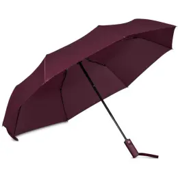 Serendipio Milestone Auto-Open Compact Umbrella Maroon Inner