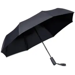 Alex Varga Altura Auto-Open Compact Umbrella Unbranded Inner