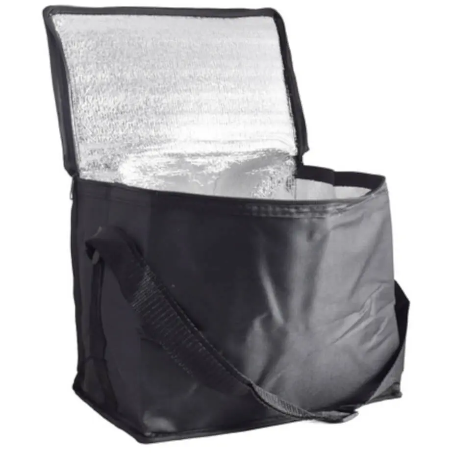 Pack-and-Go 12-Can Cooler Bag Black Open