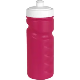 500ml Visiline Water Bottle