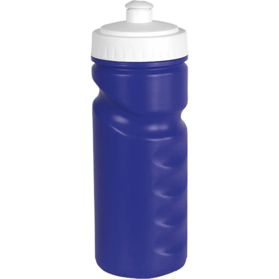 500ml Visiline Water Bottle Royal