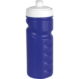 500ml Visiline Water Bottle Royal