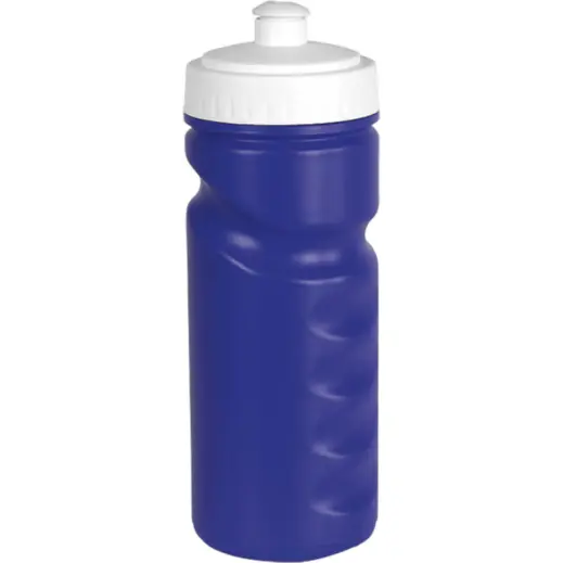 500ml Visiline Water Bottle Royal