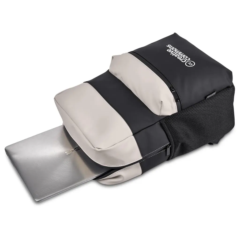 Andy Cartwright Cederberg Water-Resistant Laptop Backpack