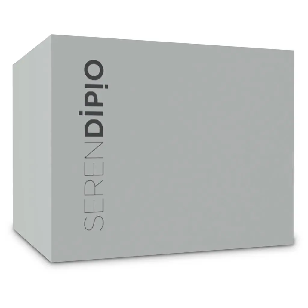 Serendipio Camden Ceramic Coffee Mug