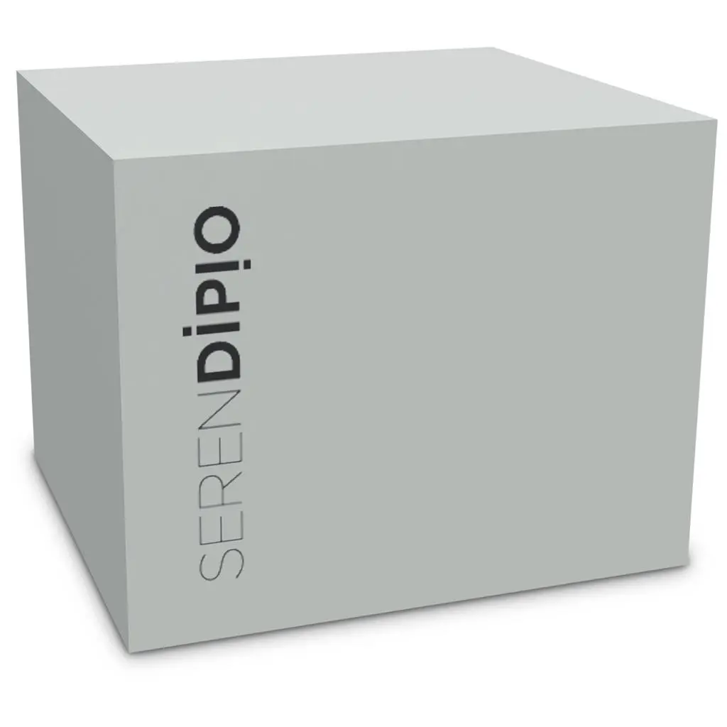 Serendipio Camden Ceramic Coffee Mug