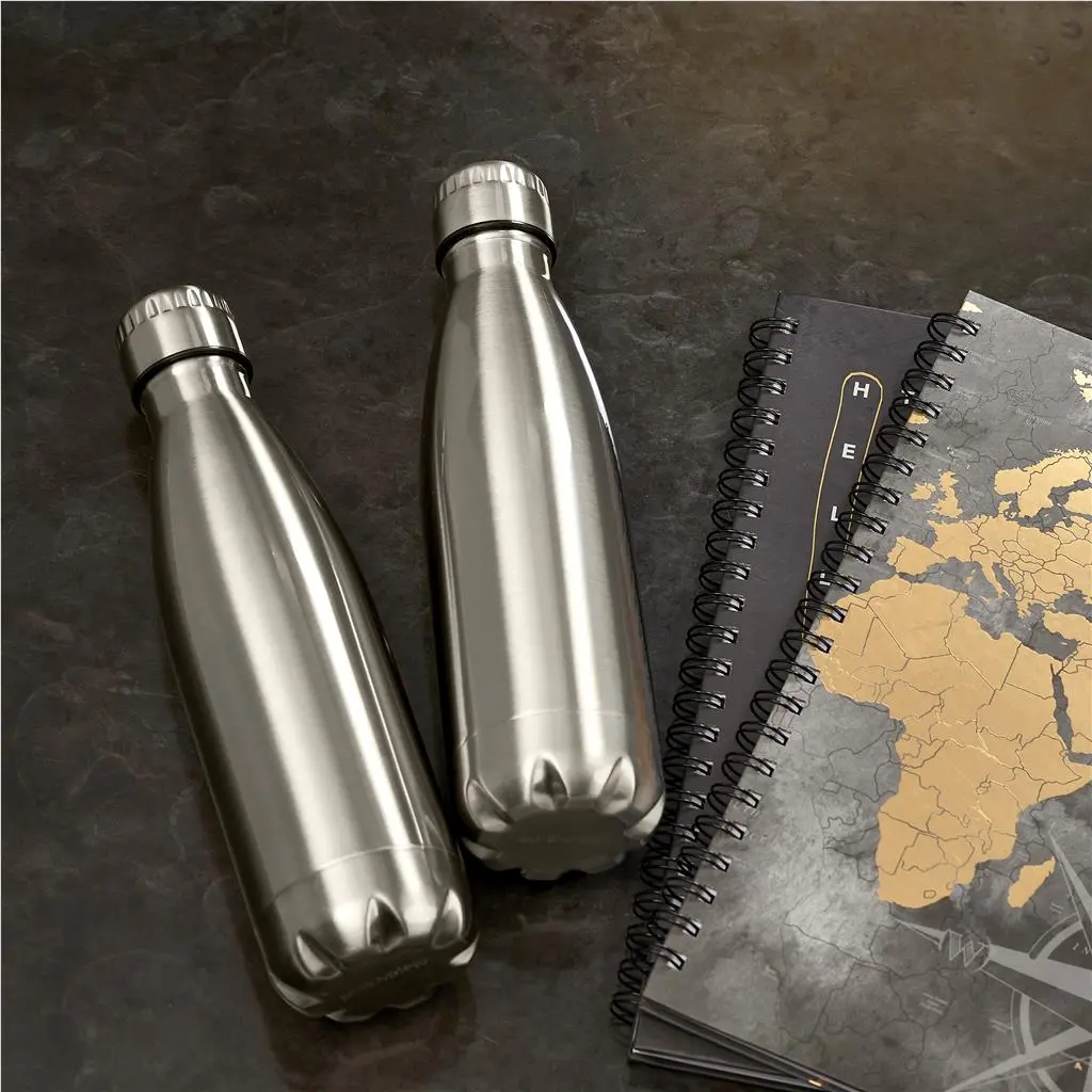 Serendipio Discovery Stainless Steel Vacuum Water Bottle